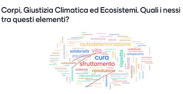 ecologia e transfemminismo assemblea non una di meno 31 gennaio&nbsp;2021