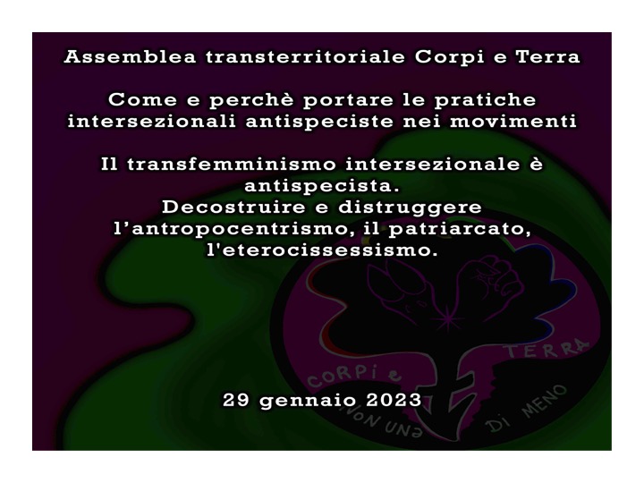 Come e perchè portare l’intersezionalità antispecista nei&nbsp;movimenti